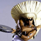 Para  mim, Carlinhos Brown já ganhou o “Oscar” há tempos