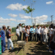 Mais 60 mil novas árvores serão plantadas