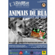 Concurso fotográfico Animais de rua