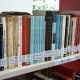 Leitores cadastrados na Biblioteca Arnold Silva poderão fazer empréstimos de livros