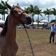 CNA confirma sucesso da Expofeira 2014