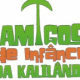 Festa dos amigos de infância da Kalilândia