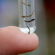 Ações conjuntas para combater o aedes aegypti