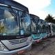 Dezenas de ônibus estão prontos para circular