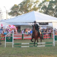Hipismo clássico faz sucesso na Expofeira