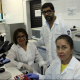 Docentes da Uefs publicam artigo sobre Chikungunya em periódico científico