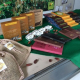 Governo apresenta parque para desenvolvimento do cacau e chocolate no sul da Bahia