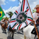 8º Encontro de Muares de Feira de Santana começa nesta sexta
