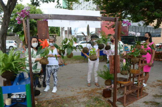 Arte na Avenida vai movimentar o domingo