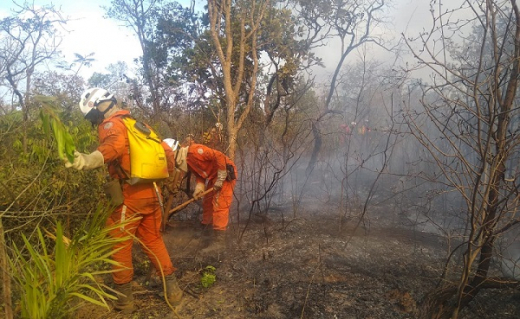 Força-tarefa do Governo do Estado e brigadistas controlam incêndio em Lençóis