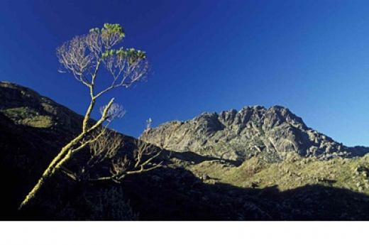 Clube de Fotografia Gerson Bullos alerta a sociedade brasileira