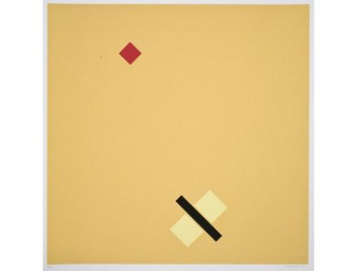 MARGS e o Museu das Cores