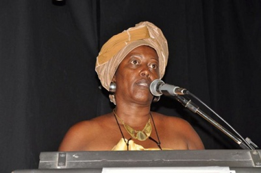 Constituída comissão do Plano da Igualdade Racial