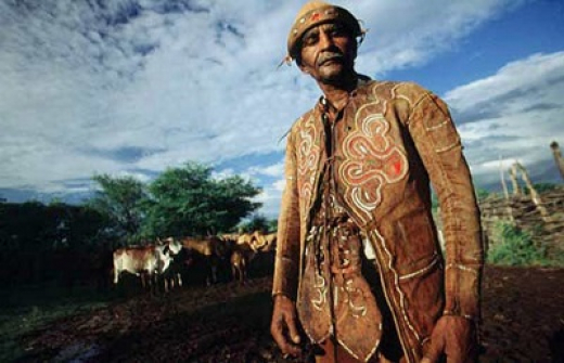 Ofício de vaqueiro patrimônio cultural da Bahia: breve histórico*