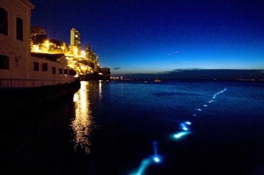 Cidades baianas recebem curso gratuito de arte contemporânea