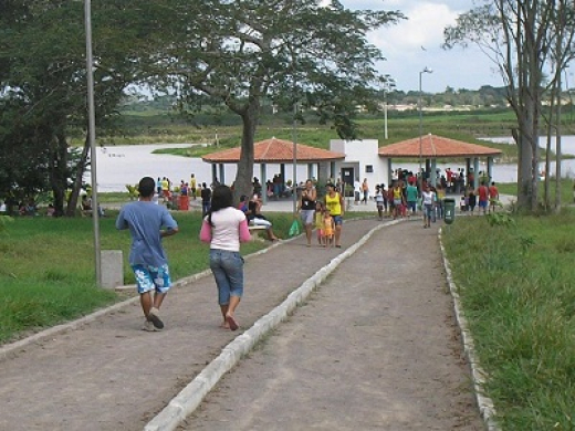 Mudas distribuídas no Parque da Cidade