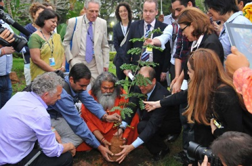 Rio +20: vinte anos perdidos