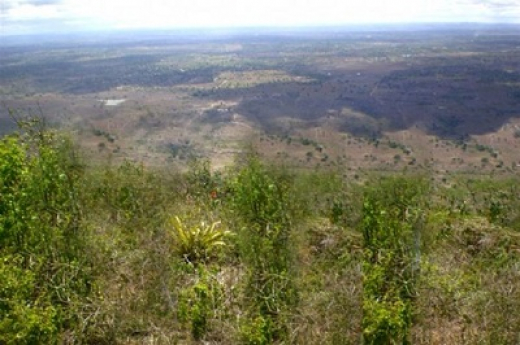 Saltos de asa delta no Morro de São José