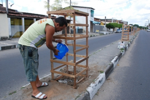 Moradores da rua Andaraí adotam árvores