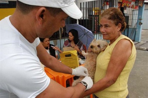 Dia D contra a raiva animal neste sábado