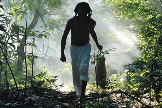 Jardim das Folhas Sagradas tem estreia nacional nesta sexta