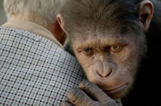 “O Planeta dos Macacos: A Origem” em lançamento nacional