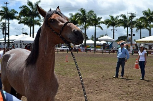 CNA confirma sucesso da Expofeira 2014