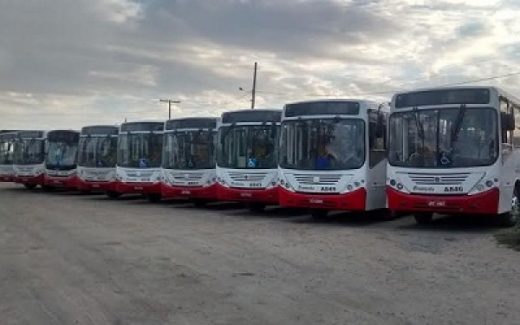 Empresas de transporte coletivo substituem 80 ônibus
