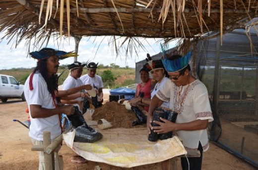 Governo reintegra, por meio da agricultura, tribo indígena Payaya na Bahia