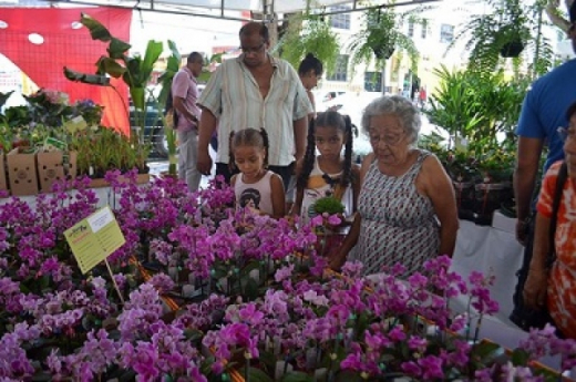 Feira de Flores no estacionamento da Prefeitura
