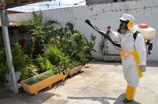 Aedes aegypti se reproduz até em cemitério e geladeira