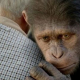 “O Planeta dos Macacos: A Origem” em lançamento nacional